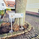 Ferienwohnungen Am Rieseninger Berg 1 Parkplatz.jpg